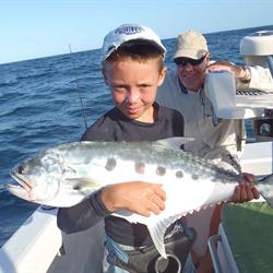 QUEENFISH1.jpg