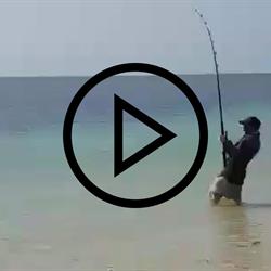 Rio Fishing