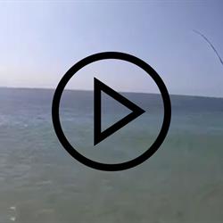 Rio Fishing 2